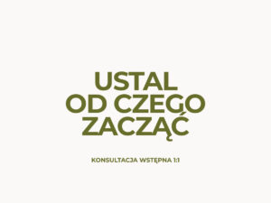 Konsultacja wstępna 1:1 - ustal, od czego zacząć